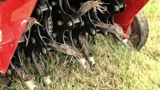 ground-work a close up of an aeration pellets