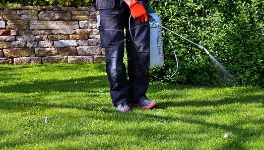 sprayer Applying spray