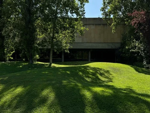 Business grass lawn